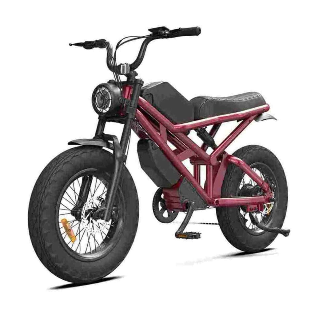 Bicicleta Eléctrica Fat Bike Rooder Chile